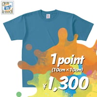 【標準】"カラー Tシャツ"  ボディ代込み  ［OE 1116 / 6.2oz］1P