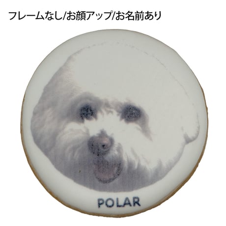 【Deco's Dog Cafe 田園茶房(コミフ直営店)でのお受け取り】コミフPETS　Doggiesフォトプリントクッキー  のコピー
