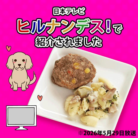 コミフデリ　ハンバーグプレート