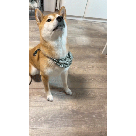 コミフ　スイートポテトバー