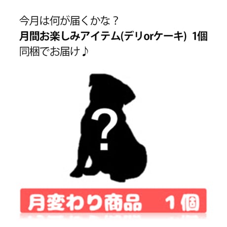 【新定期便】デリカパック