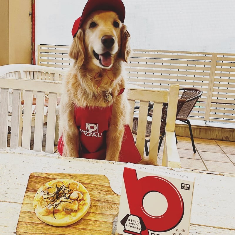 コミフデリ ピザーラテリヤキチキン | comif(コミフ)ワンちゃんの