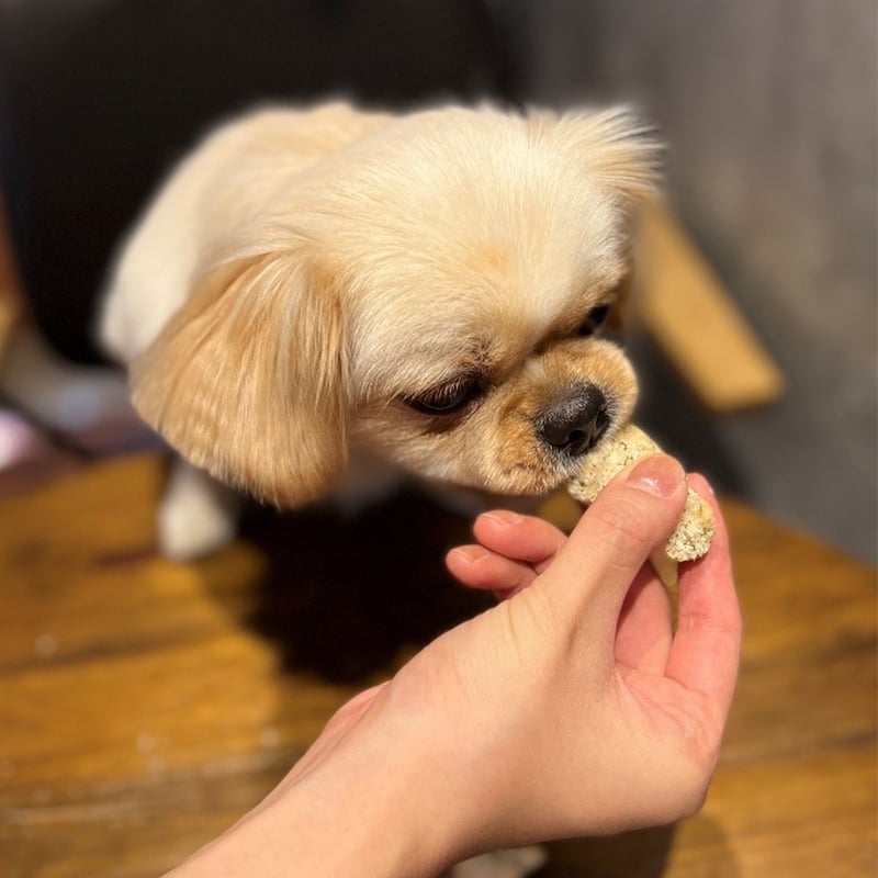 コミフデリピザーラ111チキンフィンガー | comif(コミフ)ワンちゃんの