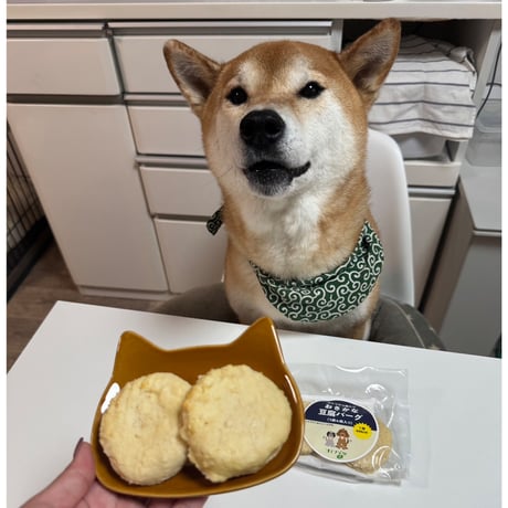 コミフデリ袋入りおさかな豆腐バーグ