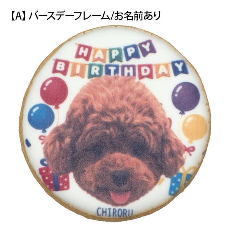 【Deco's Dog Cafe 田園茶房(コミフ直営店)でのお受け取り】コミフPETS　Doggiesフォトプリントクッキー  のコピー
