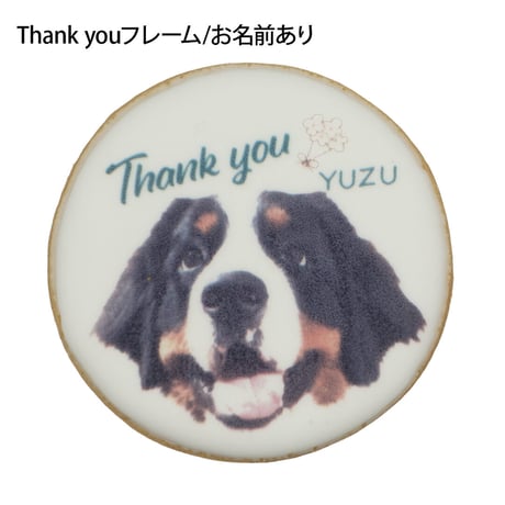 【Deco's Dog Cafe 田園茶房(コミフ直営店)でのお受け取り】コミフPETS　Doggiesフォトプリントクッキー  のコピー
