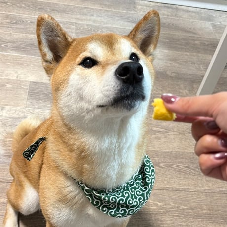 コミフ　スイートポテトバー
