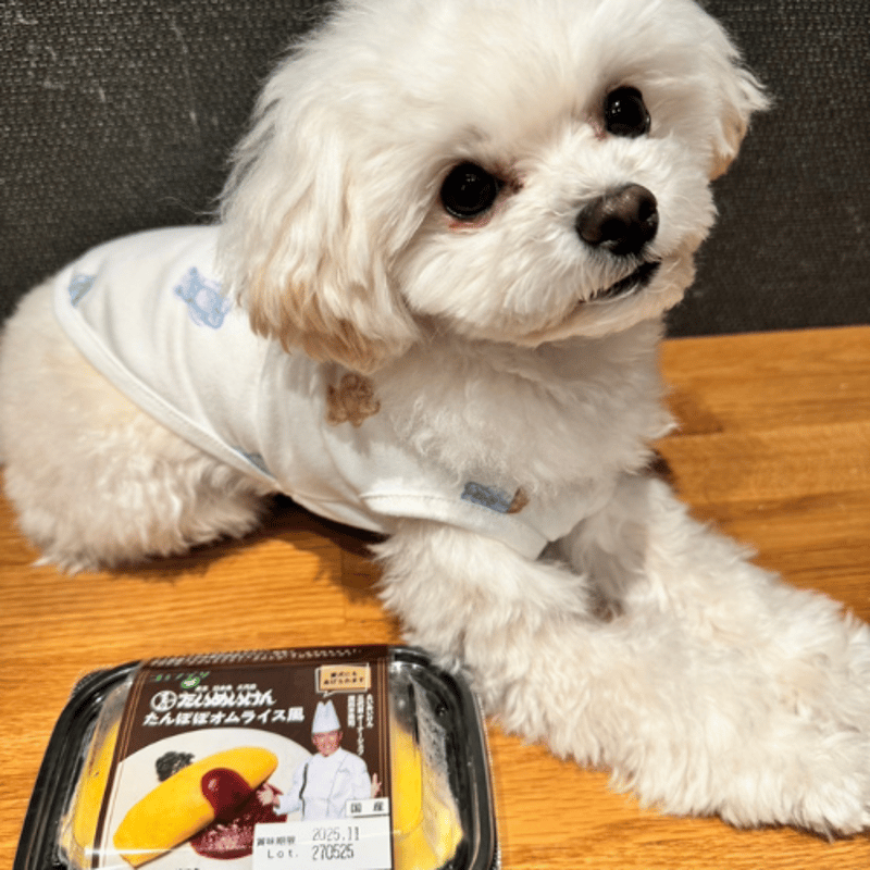 コミフデリ 三代目たいめいけんたんぽぽ オムライス風 | comif