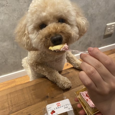 コミフ　ベリーと豆乳のモンブラン