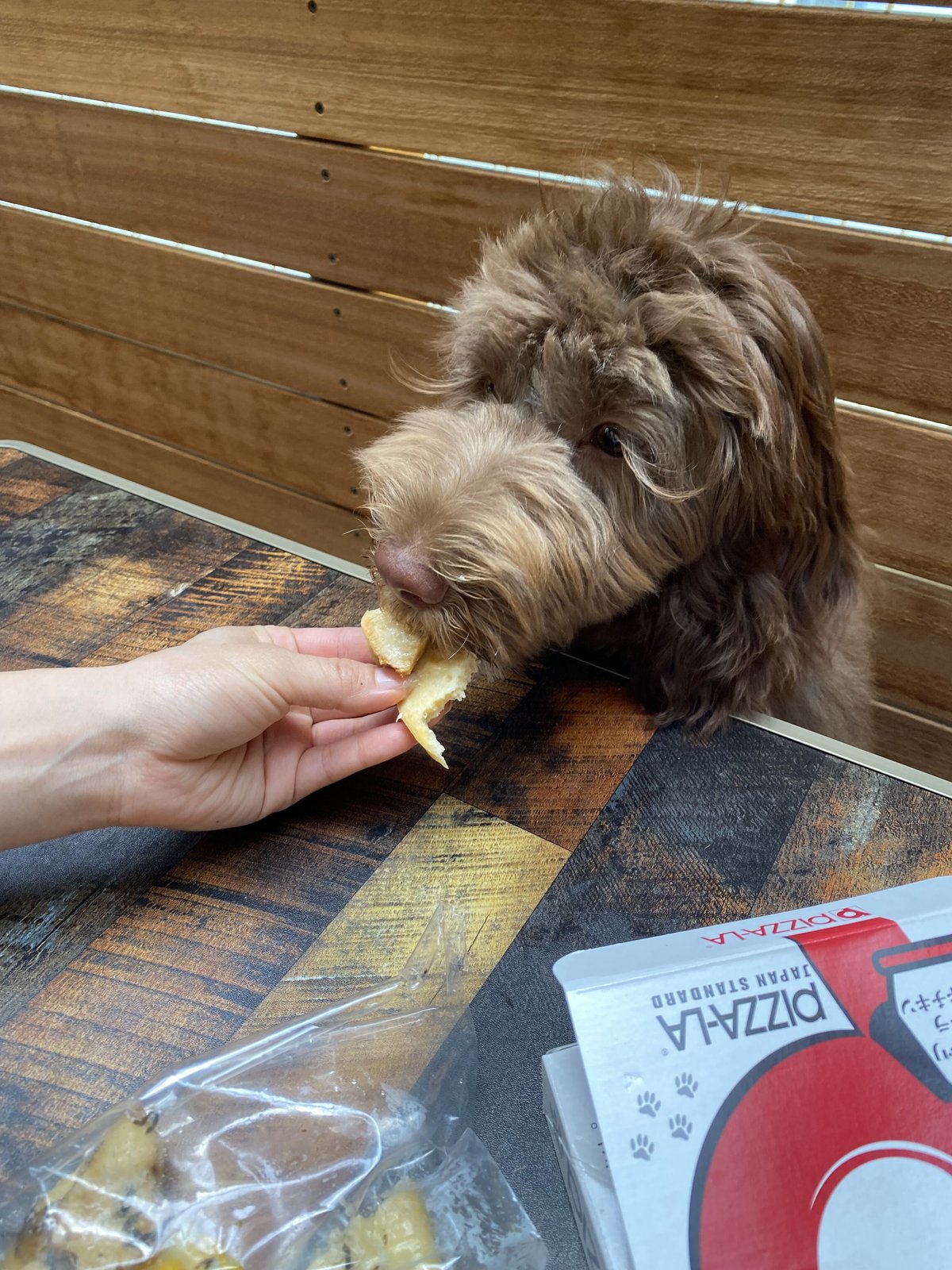 fit=scale-down,w=1200