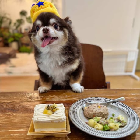 コミフデリ　ハンバーグプレート