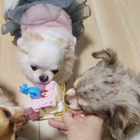 コミフ　ベリーと豆乳のモンブラン