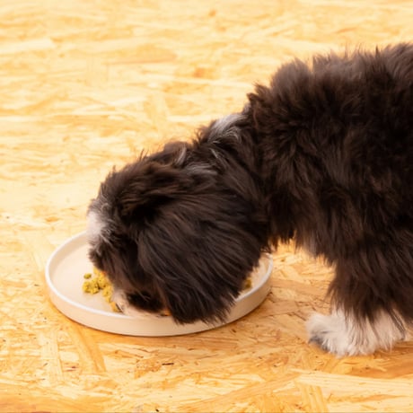 【コミフPETS総合栄養食】お試しセット