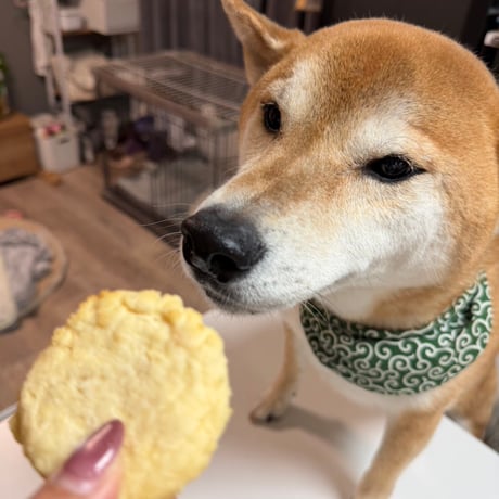 コミフデリ袋入りおさかな豆腐バーグ