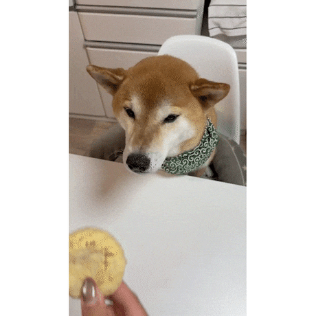 コミフデリ袋入りおさかな豆腐バーグ