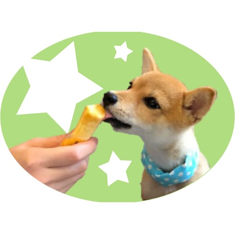 コミフ　チーズケーキバー
