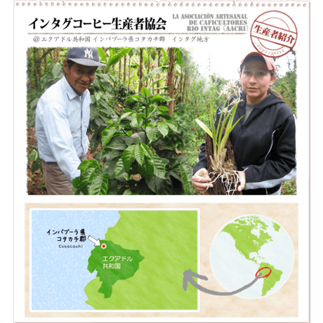有機栽培ハチドリのひとしずくコーヒー豆200ｇ【レギュラーコーヒー】ナマケモノ倶楽部