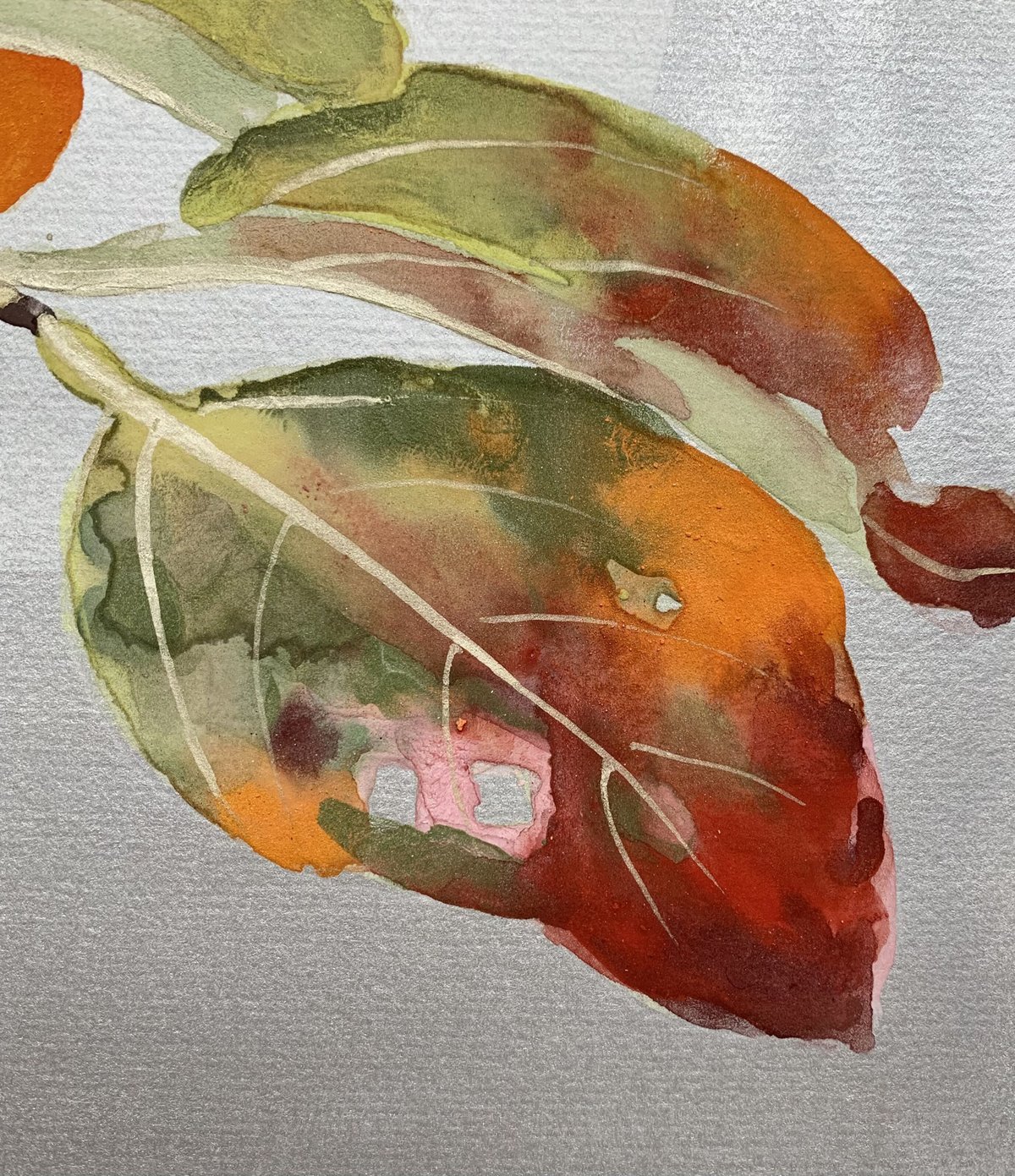 【 50%off】￥367,440➔￥183,720➔150,000 柿の絵画 古賀 健吉／柿｜pictorial-0009 | Masako Kan｜マサコ館