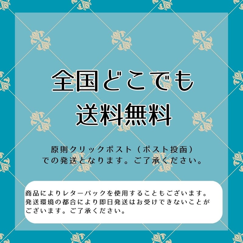 受注製作品】社交ダンス 競技、デモ用 ピアス イヤリング ロング