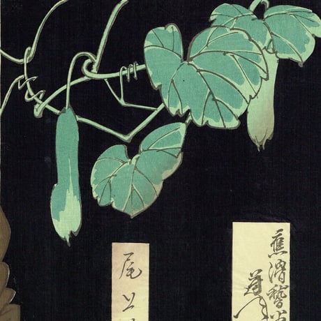 月岡芳年「五代目尾上菊五郎 一つ家の老婆」明治23年【浮世絵】
