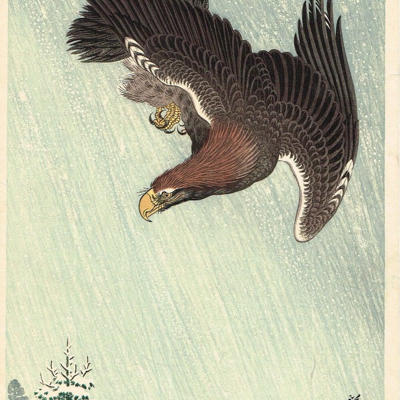 昭和レトロ 糸の絵画 文化刺繍 鷲 ワシ 絵画 芸術 美術 アート 小原古邨（祥邨）「鷲図」 【浮世絵】 | 浮世絵販売・買取「竹井事務所
