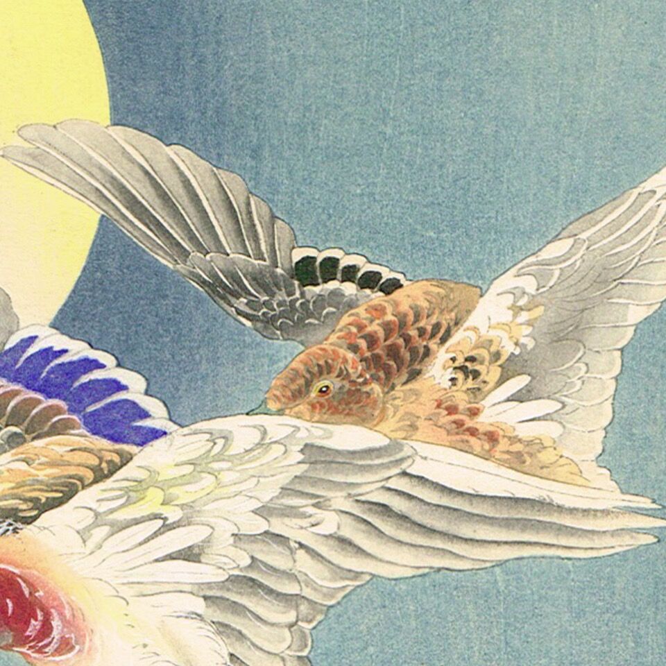 真作　作者不詳(清朝画家)　満州国購入大同2年(1932年)　鴨の絵　水彩画 真作 作者不詳(清朝画家) 満州国購入大同2年(1932年) 鴨の絵