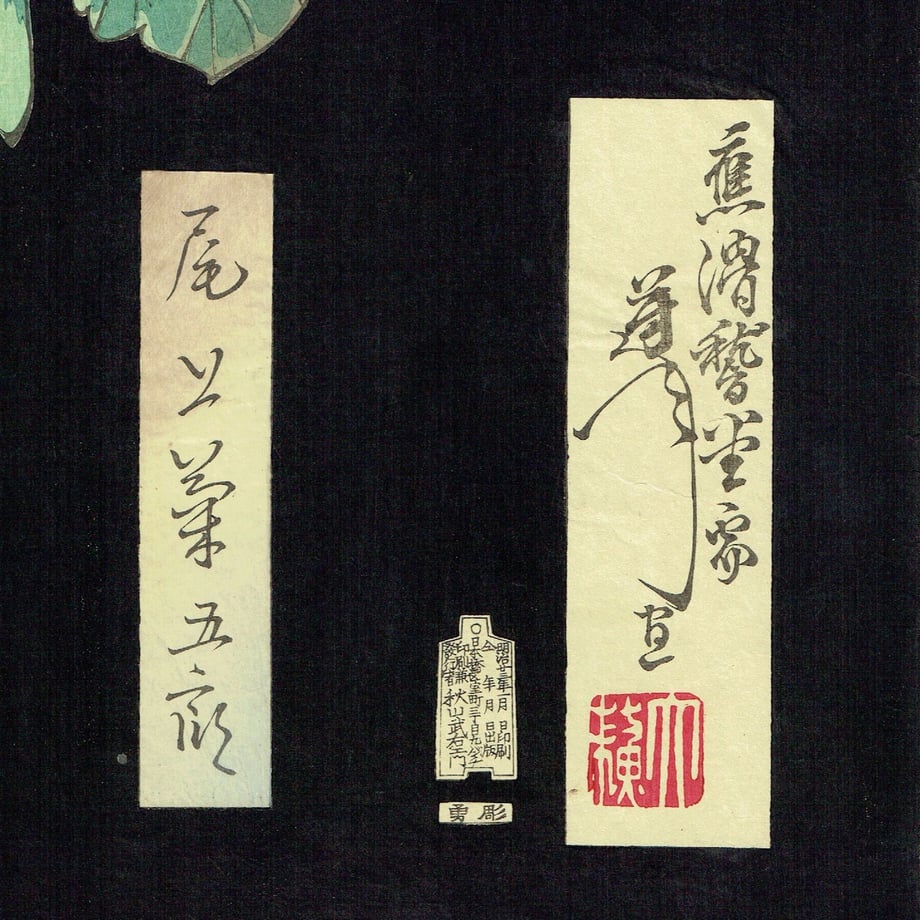 6246b73f4773a361a1f7a397