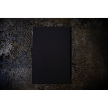 オリジナル 三枚折 タトウ 「草双紙内張 鳥 他」2401-c