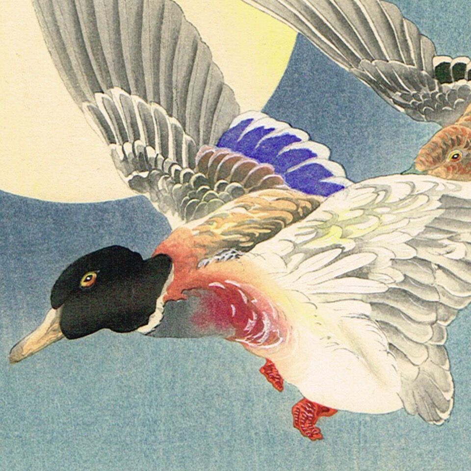 真作　作者不詳(清朝画家)　満州国購入大同2年(1932年)　鴨の絵　水彩画 真作 作者不詳(清朝画家) 満州国購入大同2年(1932年) 鴨の