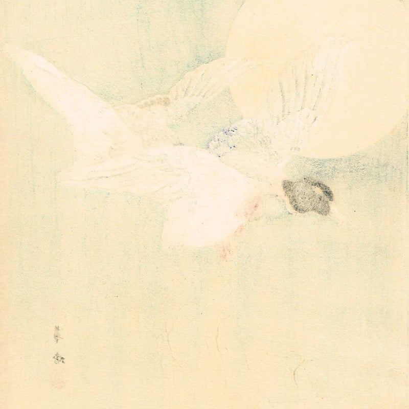 森田華香「真鴨」大正期【浮世絵】 | 浮世絵販売・買取「竹井事務所」大阪