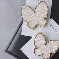 butterflybroach
