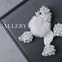 ホワイト🤍🐩単品（1枚目写真🎀有り）