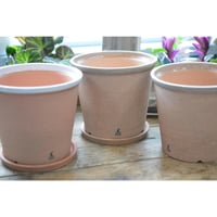 かもしかポットL（かもしか花卉店）