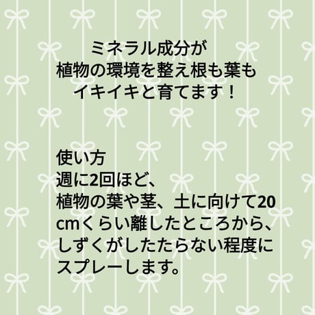 観葉植物とエアプランツが元気に育つ水 300ml（画像右）