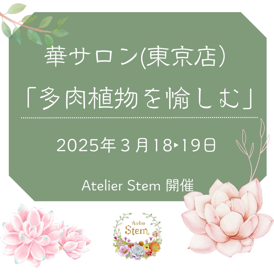 67ab25056830950e65747e25