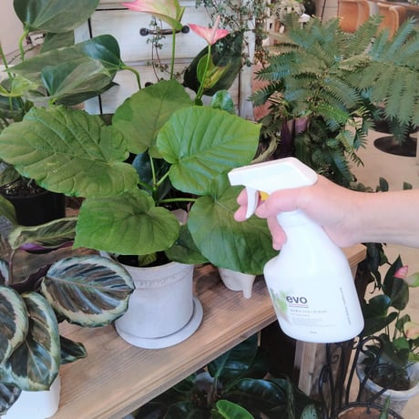 evo 虫を寄せ付けない水＜除虫菊＞ 400ml（画像左）