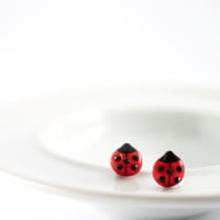 ladybird *pierce