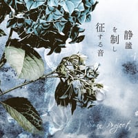 Amazon.co.jp: V系 R指定 初回限定盤 愛國革命 CD : おもちゃ
