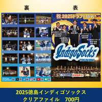 【数量限定】2025シーズン記念クリアファイル【送料込】