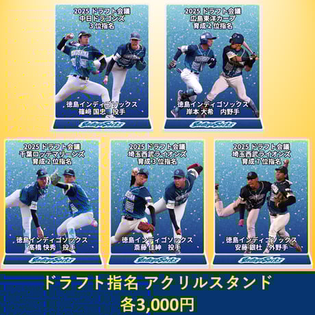 ITEM | 徳島インディゴソックス