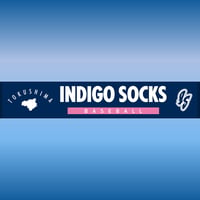 INDIGOSOCKSタオル【送料込】