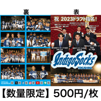 【数量限定】2023シーズン記念クリアファイル【送料込】