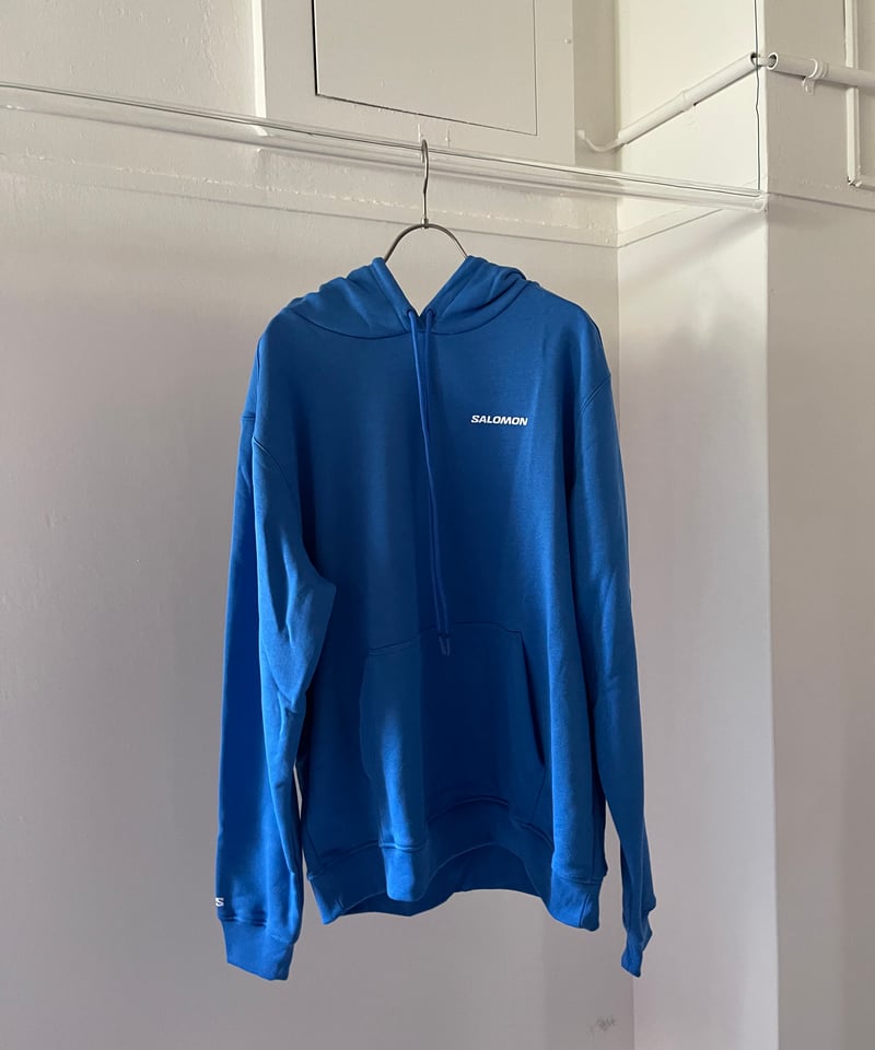 SALOMON / SAL WINDOW GRAPHIC HOODIE | JURK