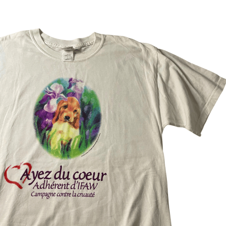 A yez du coeur TEE