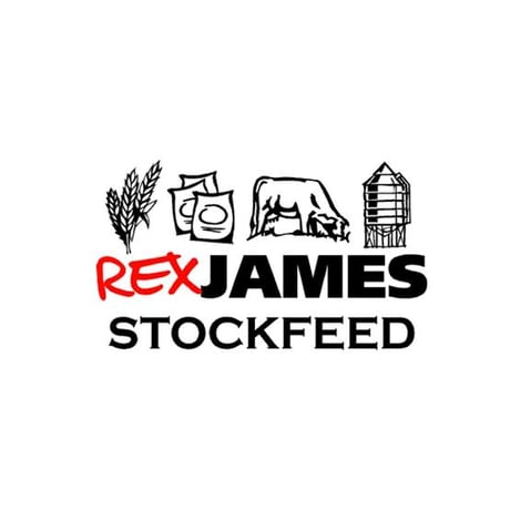 REX JAMES CAP