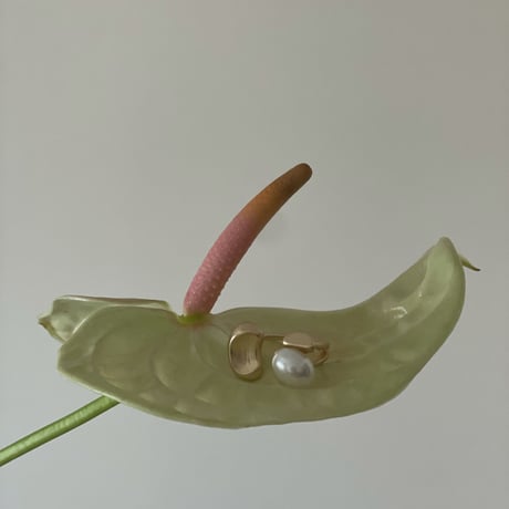 Bean Ring