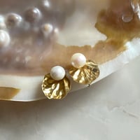Sea Muse