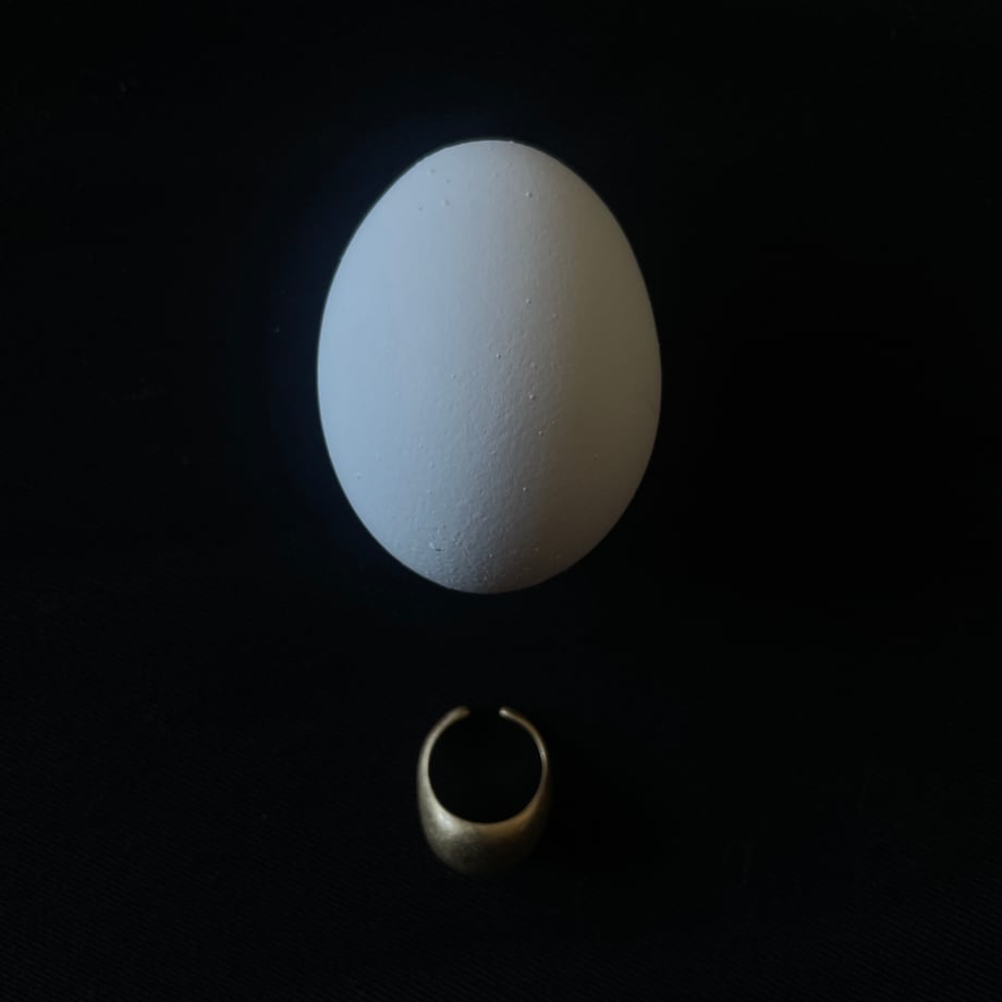 65bf5bba63f5f620816dd150