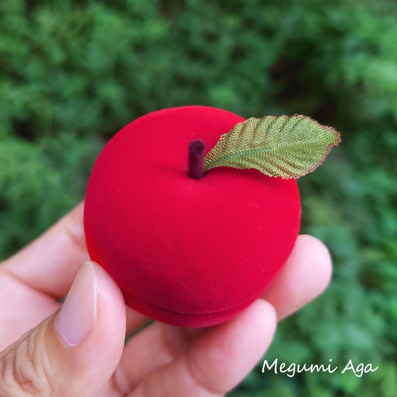 制作終了☆展示のみ】【パンダのおもちゃ箱☆4】「Hesoten in Apple