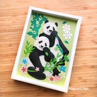 【制作終了☆展示のみ】「パンダ二年生」☆シャオレイモデル
